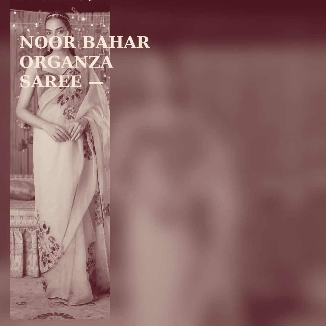 NOOR BAHAR ORGANZA SAREE