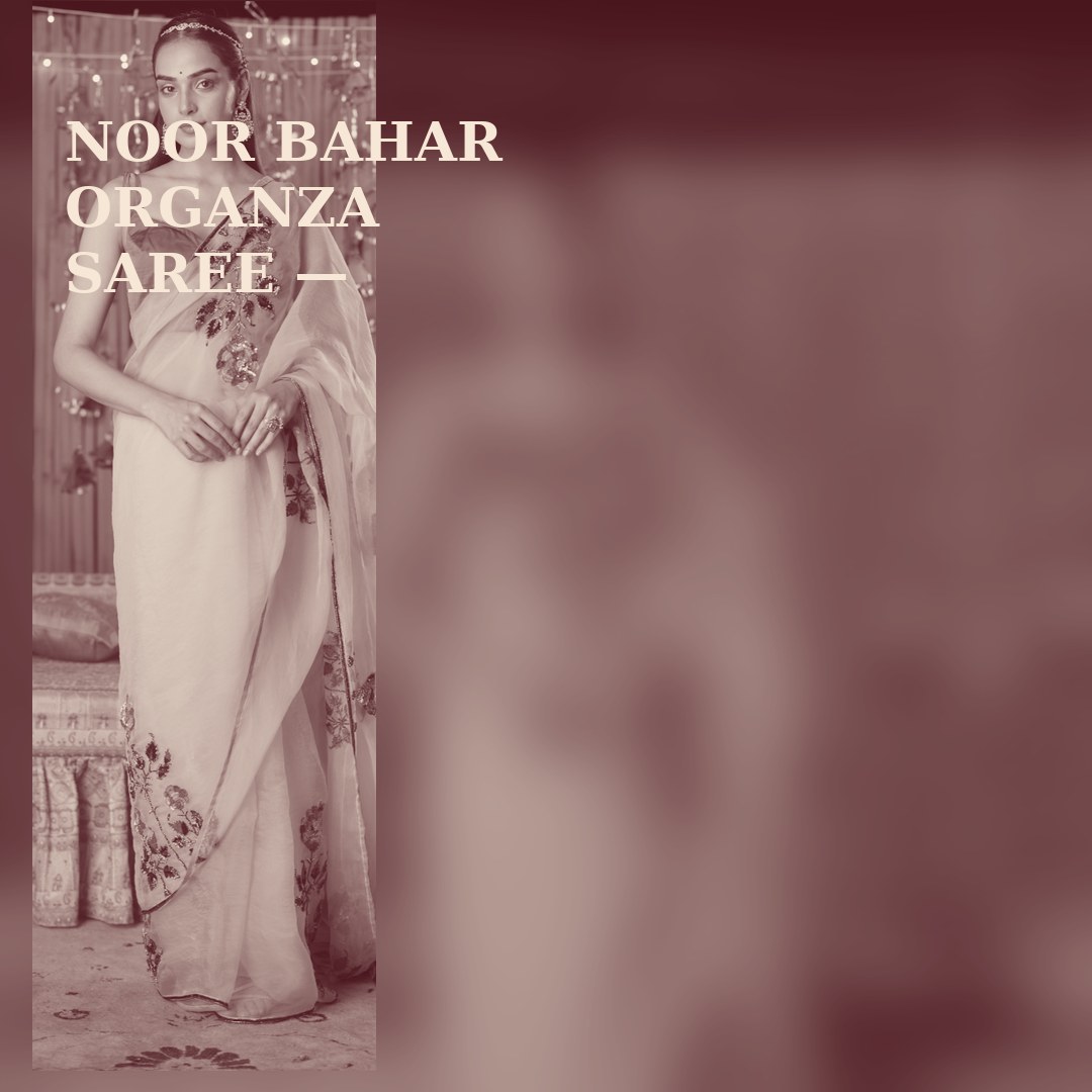 NOOR BAHAR ORGANZA SAREE