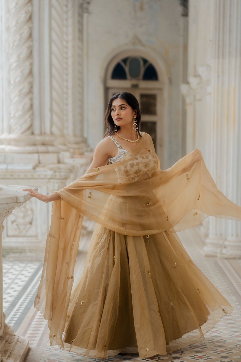 Lehengas | Natasha Dalal Label | Mumbai | Bridal Wear | Lehengas | Gowns |  Indian wedding outfits, Indian wedding dress, Indian gowns